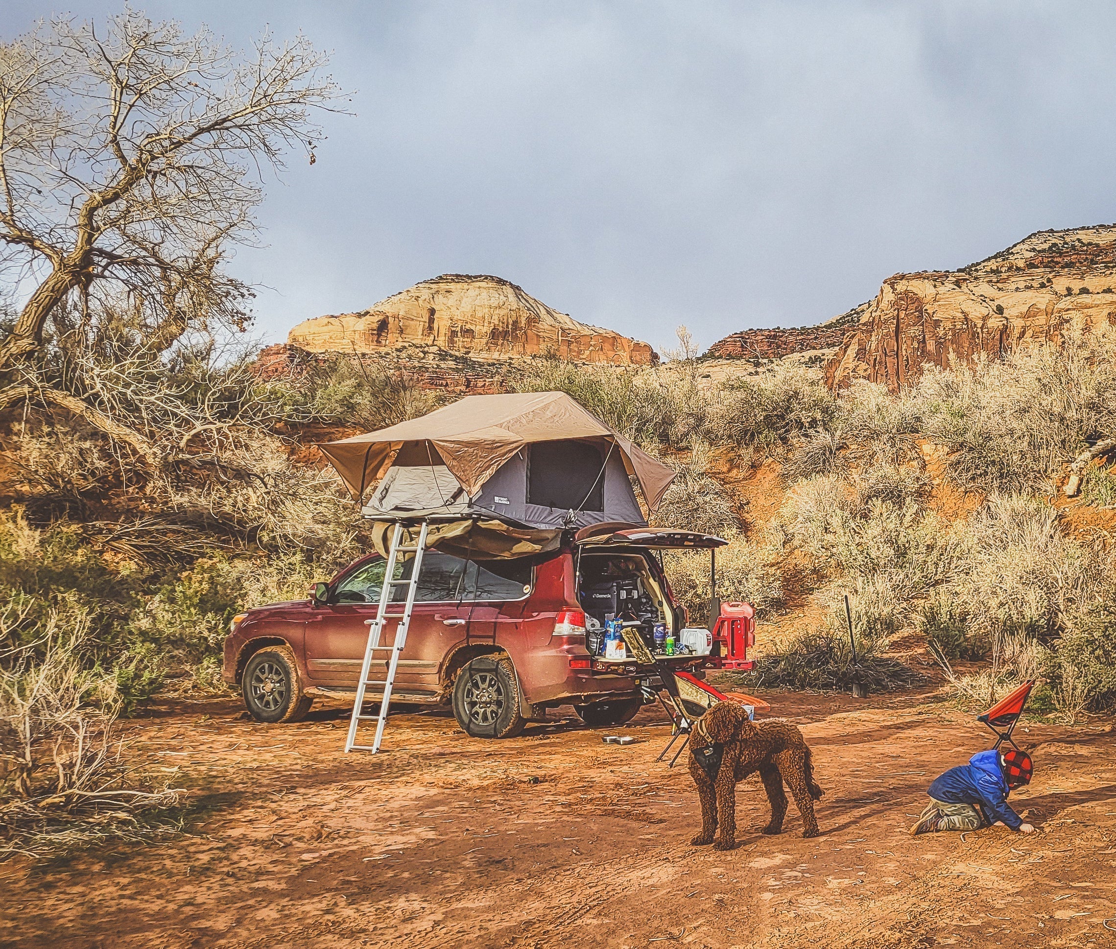 Roof Loading Tips for Overland and Off-Road Adventures