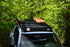 6th Gen Toyota 4Runner with LFD roof rack on forest trail